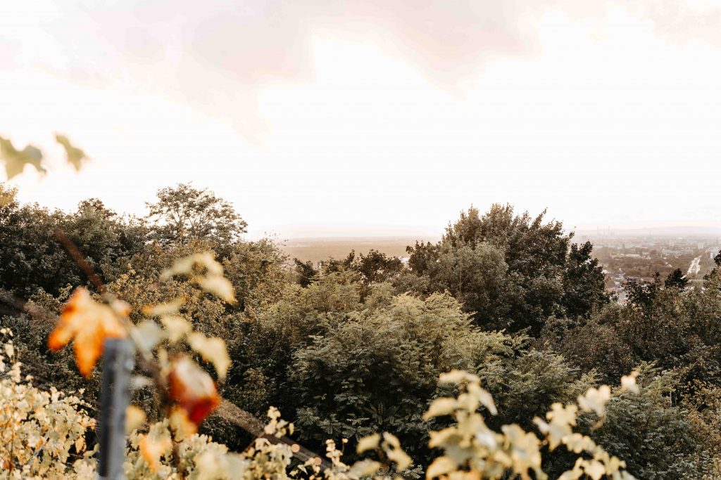 Sonnenuntergang Turmberg Karlsruhe